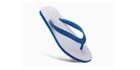 Rubber Hawai Chappal